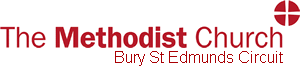 Methodist Local Logo